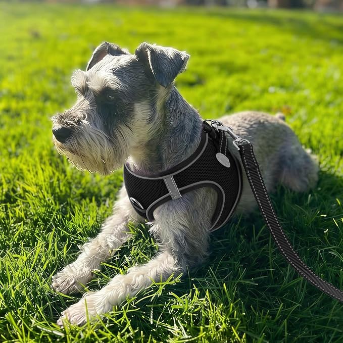 Joytale Small Dog Harness, Breathable Mesh Step-in Vest, Reflective Soft Padded Harnesses for Medium Dogs, Black, XL