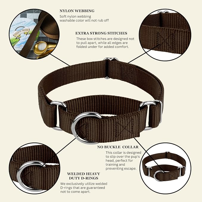 Country Brook Petz - Martingale Dog Collar - Heavy-Duty Training Collar with No Buckle - Service Dog Collar for All Pups - 20 Vibrant Colors (Brown, 3/8 Inch, 2XS)