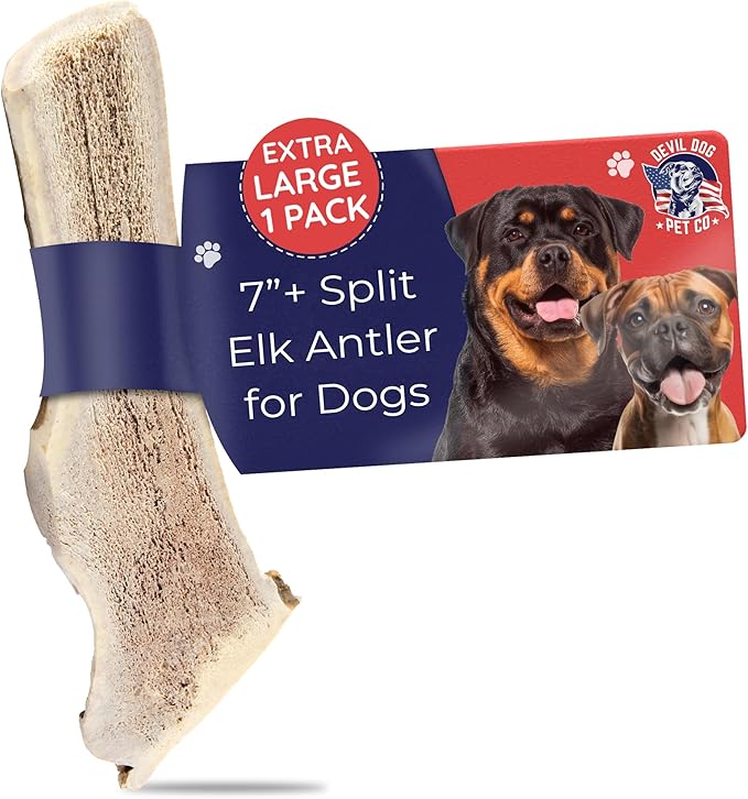 Devil Dog Pet Co. Split Elk Antlers for Dogs, Natural Dog Chew with Exposed Marrow - Long Lasting and Odor Free - USA Sourced - Cleaner Teeth, Anxiety & Boredom Relief - XL 7"+ - Antler Bone