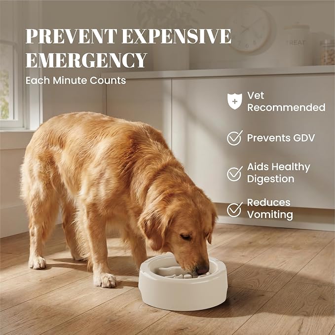 AVERYDAY 3 Pack Slow Feeder Dog Bowl Set, Two Weighted Maze Insert Bowls, Anti-Slip Changeable Puzzle Feeding Bowl for Wet Dry & Raw Dog Food, Slow Eating Deep Pet Food Dish for Medium & Large Breeds