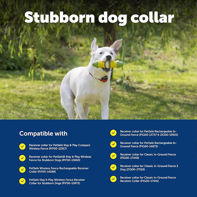 PetSafe Stubborn Dog Stay & Play Wireless Pet Fence Receiver Collar, Waterproof, Rechargeable, Tone and Static Correction, PIF00-13672, One Size, from the Parent Company of the Invisible Fence Brand