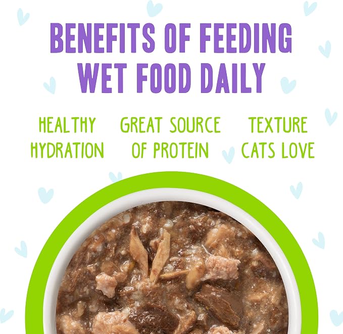 Weruva B.F.F. OMG - Best Feline Friend Oh My Gravy!, Shazaam! with Lamb & Tuna in Gravy Cat Food, 2.8oz Pouch (Pack of 12)