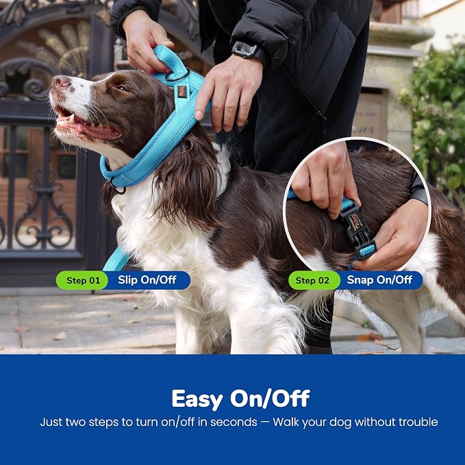 Didog No Pull Dog Harness with Breathable Mesh Padded,Reflective & Quick Fit Light Weight Dog Strap Vest Harness,Easy for Walking Training (L:Chest 26-32", Mesh-Blue)