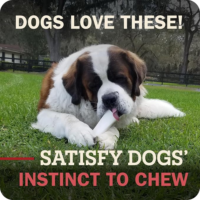 Redbarn Pet Products Large Filled Dog Bones, Cheese & Bacon Flavor - Long Lasting Stuffed Femur Chew Treat Made in USA - 4 Count - Packaging May Vary