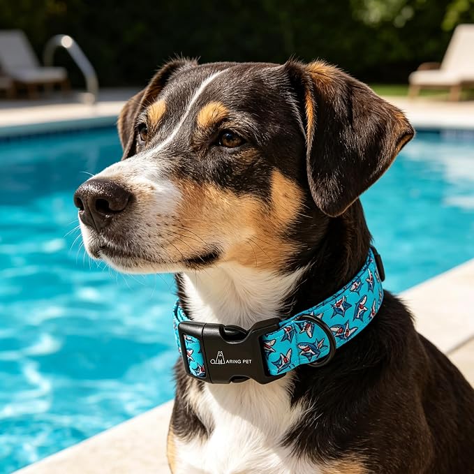 ARING PET Summer Dog Collar, Cute Blue Shark Pet Collars with Quick Release Buckle for Puppy Small Medium Large Boy Girl Dogs-XS