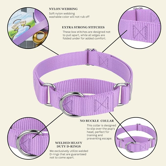 Country Brook Petz - Martingale Dog Collar - Heavy-Duty Training Collar with No Buckle - Service Dog Collar for All Pups - 20 Vibrant Colors (Lavender, 5/8 Inch, Extra Small)