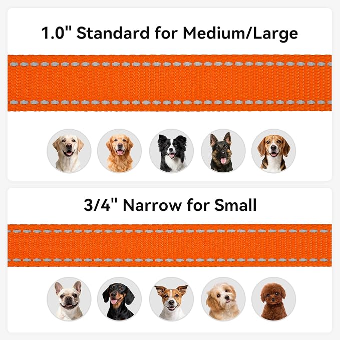 Joytale Dog Leash, 5 FT Double-Sided Reflective, Padded Handle Nylon Heavy Duty Leashes for Medium & Large Dogs Walking, Orange