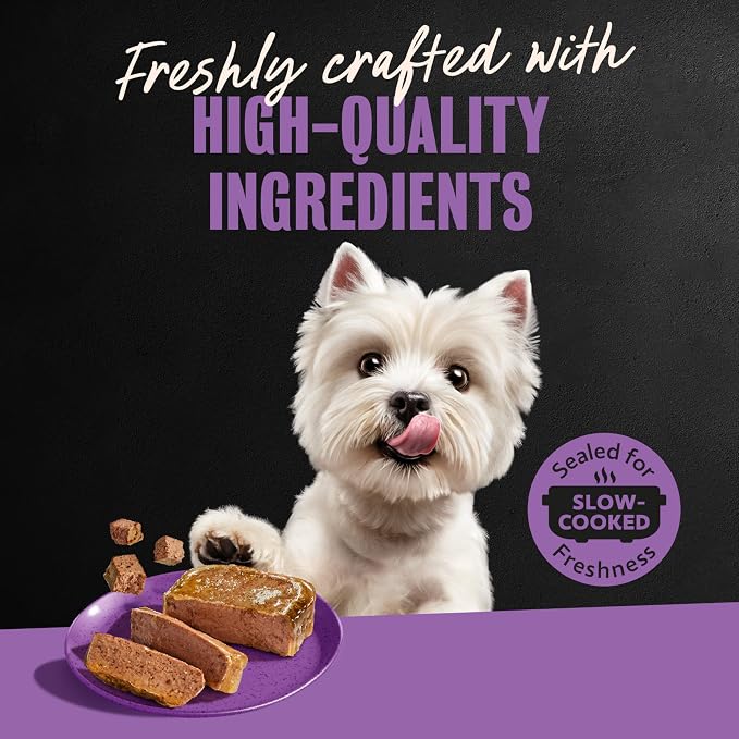 Cesar Classic Loaf in Sauce Adult Wet Dog Food, Filet Mignon Flavor and Porterhouse Steak Flavor, 3.5 oz. Easy Peel Trays, Variety Pack (12 Count Pack of 2)