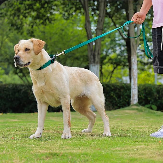 Waterproof Dog Leash, 5/6 FT Durable Odor-Proof Dog Leashes with Strong Metal Hooks Fits Small Medium or Large Dogs (Emerald Green, 6FT - 1 inch Width)