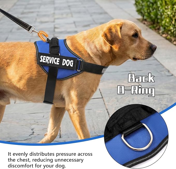 MUMUPET Service Dog Vest Harness, No Pull Reflective Adjustable with Handle, Soft Breathable Padding for Large Dogs, 2 Removable Velcro Patches (Blue, L)