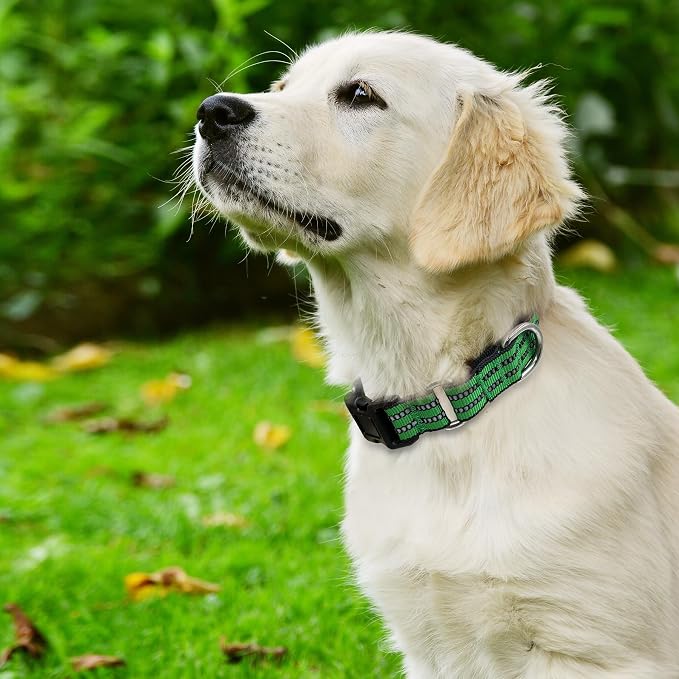 Hikiko Martingale Dog Collars Reflective Nylon Dog Collar with Quick Release Buckle Adjustable Training No Slip Dog Collar (Large, Green)