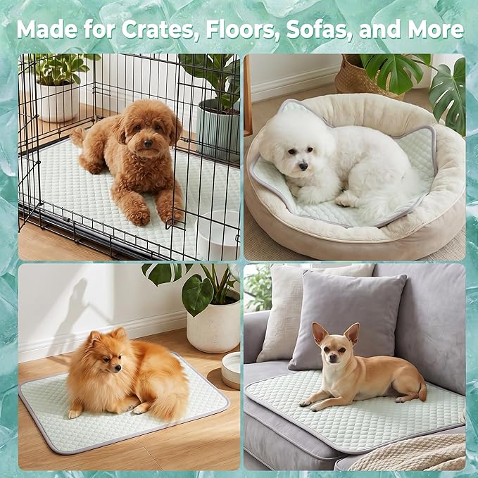 PatiencET Dog Cooling Mat, 22 x 28 in No-Gel Cooling Pad for Small Dogs, Puppies and Cats, Cool Touch Pet Mat with Ice-Dot Texture, Washable Summer Crate Pad for Floor, Sofa, Car, Light Green