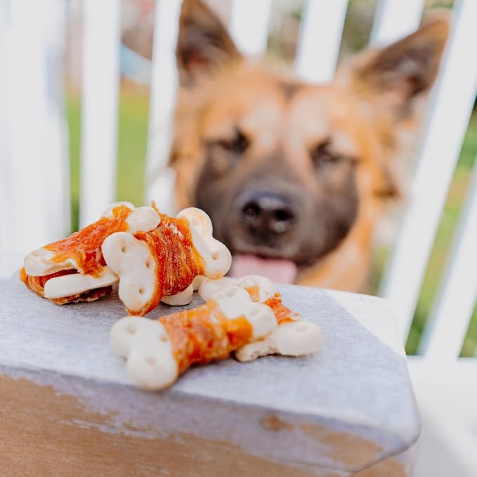 Cadet Gourmet Chicken Wrapped Biscuits Dog Treats Wraps - Healthy & Natural Chicken Wrapped Biscuits Dog Training Treats for Small & Large Breeds - Inspected & Tested in USA (14 oz.)