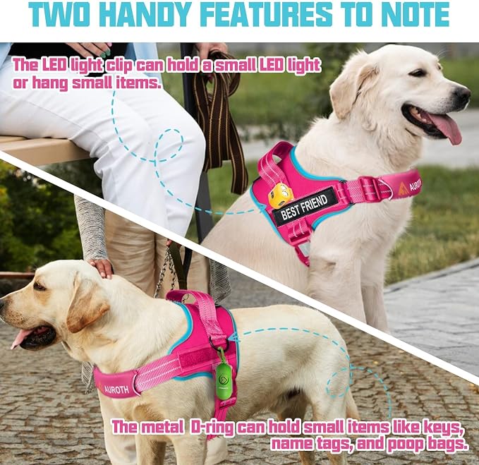 AUROTH Dog Harness and Leash Set, Soft Padded Service Dog Vest with 5.25FT Dog Leash, No Choke, Easy On Pet Vest, Adjustable Reflective No Pull Dog Harness for Large Dogs, Easy Walking and Training