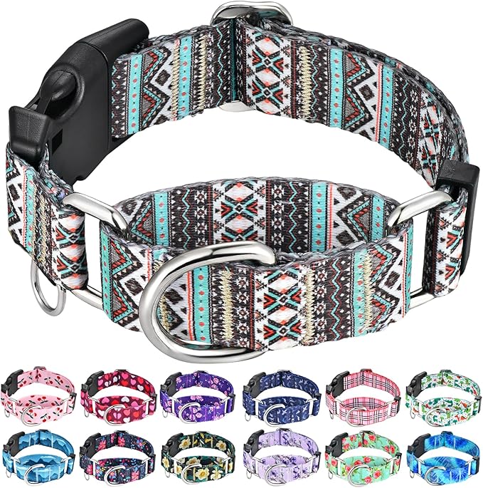 Martingale Dog Collar with Buckle Tribal Design Adjustable Escape Proof Pet Collars (Aztec, Small)