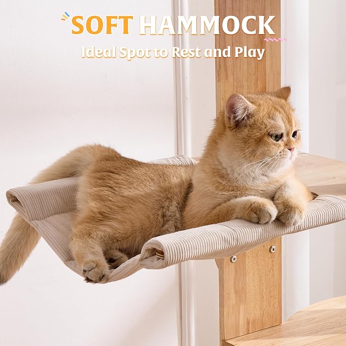 HITTITE Solid Wood Cat Tree Tower with Scratching Post, 64 Inches Tall Cat Towers with Scratching Board, Modern Cat Tower with Space Capsule and Removable Top Bed for Indoor Cats