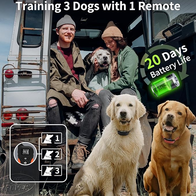 Dog Vibration Collar with Controller for 2 Dogs No Shock, 9 Types of Beeps and Vibrations, 3300ft Range & Upgraded Waterproof Training Collar for Dogs 5-120lbs - No Prongs