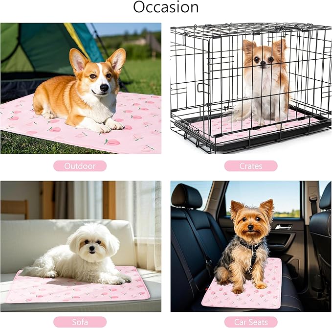 DELIFUR Cat Cooling Mat- Pet Cooling Mat Outdoor for Dogs Self Cooling Pad for Kitten Cat Puppy Machine Washable (Small, Pink Peach)