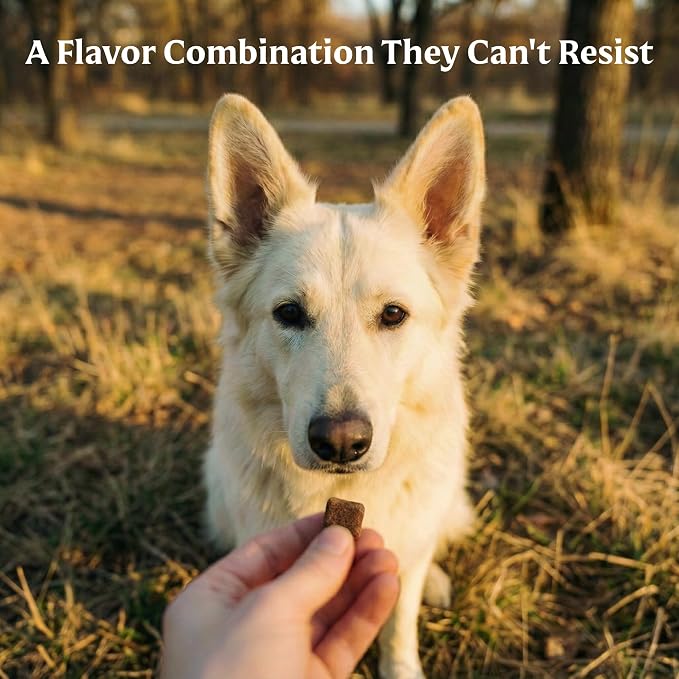 Bil-Jac PB-Nanas Soft Dog Treats | Peanut Butter & Banana Flavor | 10 oz (2-Pack)