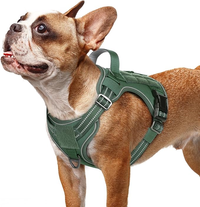 rabbitgoo Tactical Dog Harness for Small Dogs No Pull Adjustable Military Vest with Handle MOLLE Reflective Heavy Duty Dog Vest for Walking Training Hunting Outdoor Working Medium Size Dog Green S