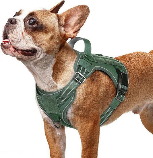 rabbitgoo Tactical Dog Harness for Small Dogs No Pull Adjustable Military Vest with Handle MOLLE Reflective Heavy Duty Dog Vest for Walking Training Hunting Outdoor Working Medium Size Dog Green S