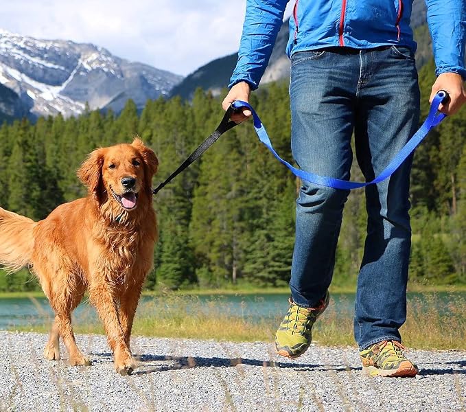 Leash Boss Original - Heavy Duty Dog Leash for Large Dogs - No Pull Double Handle Training Lead for Walking Big Dogs - Dog Leashes with Padded Handle for Control and Safety (Blue)