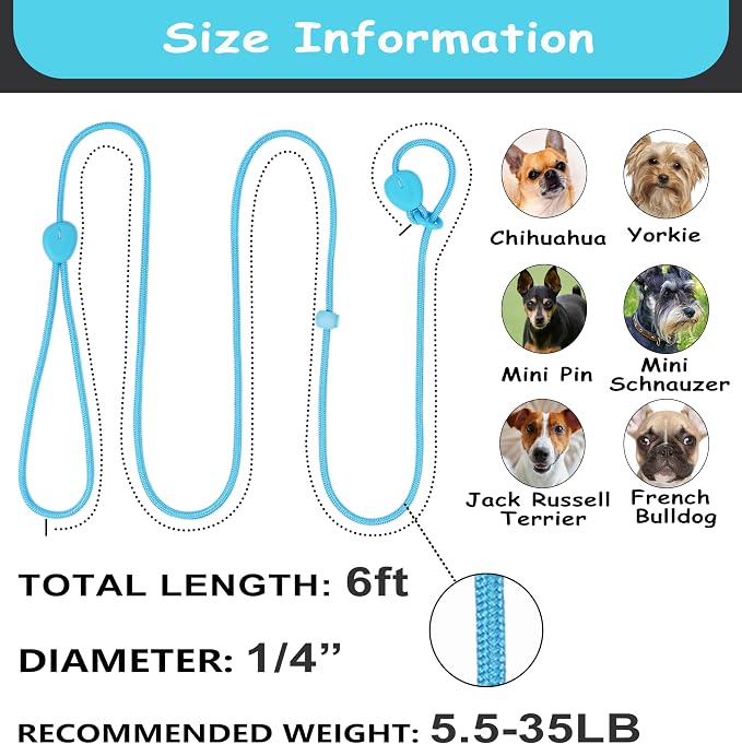 Slip Lead for Dogs 6FT Strong Training Leash Heavy Duty No Pull Comfortable Rope Lightweight for Small Medium Dogs (Blue)