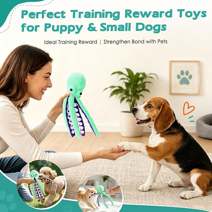 Fuufome Squeaky Plush Dog Toys, Soft Fabric Toys for Puppy, Small and Medium Dogs, Interactive Daily Companionship Training Reward Birthday Gift