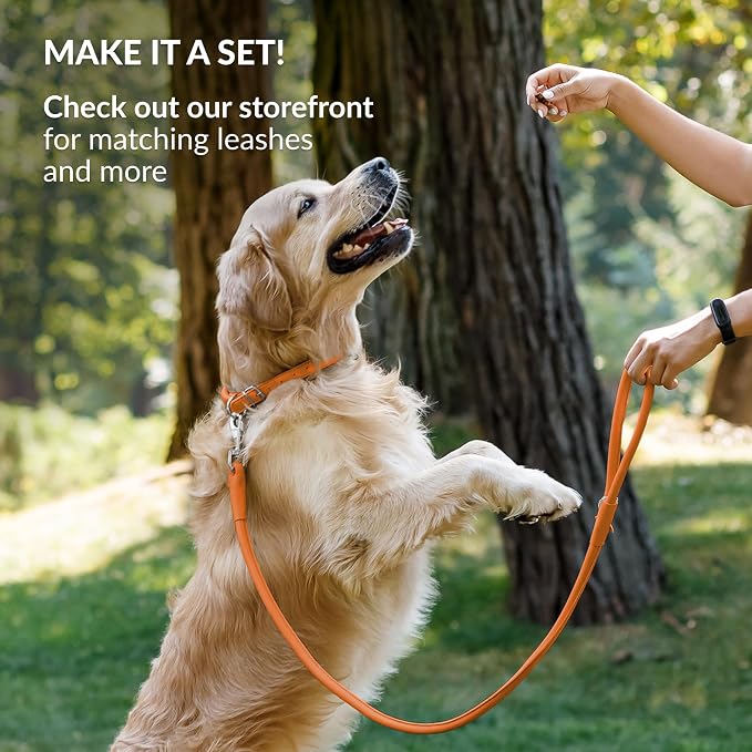 CollarDirect Reflective Rolled Leather Dog Collar, Soft Padded Round Puppy Collar, Handmade Genuine Leather Collar Dog Small Large Cat Collars 13 Colors (13-16 Inch, Orange Reflective)
