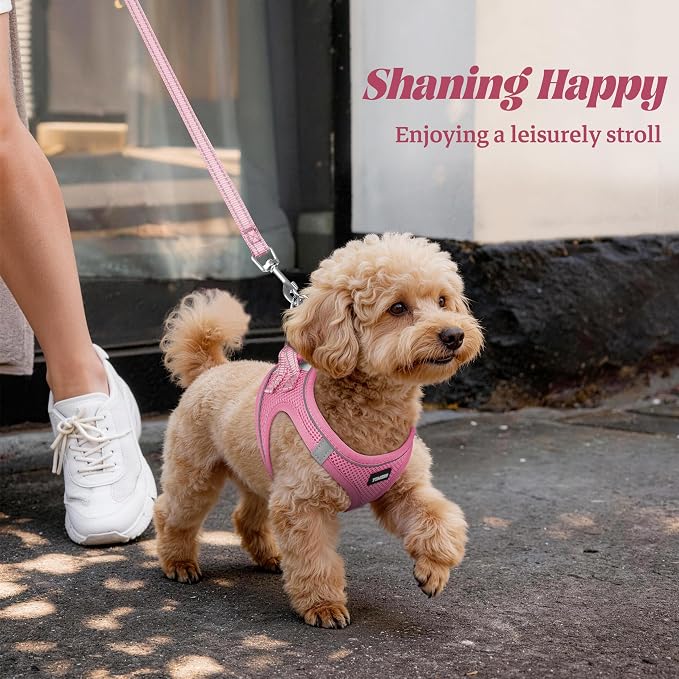 YIMEIS Dog Harness and Leash Set, No Pull Soft Mesh Pet Harness, Reflective Adjustable Puppy Vest for Small Medium Large Dogs, Cats (Pink, Medium)
