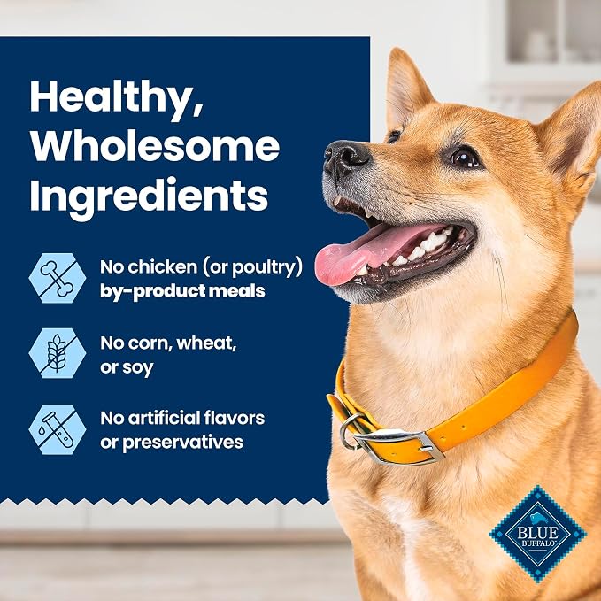 Blue Buffalo Medium Dental Chews Bundle, Natural Dog Treats Enhanced with Vitamins, Minerals, and Other Nutrients, Two 23 oz. Bags