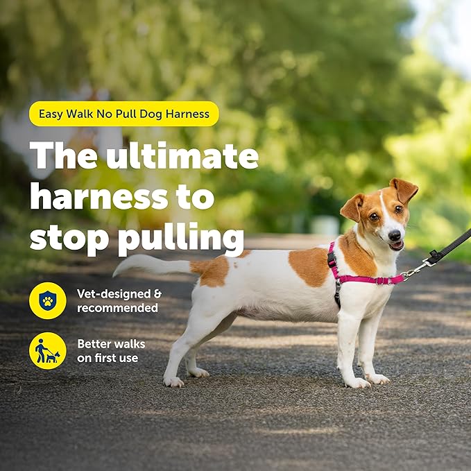 PetSafe Easy Walk No-Pull Dog Harness - Ultimate Harness to Help Stop Pulling - Pull-Free Walks - Take Control & Teach Better Leash Manners - Patented Martingale Loop Design - Raspberry, Small