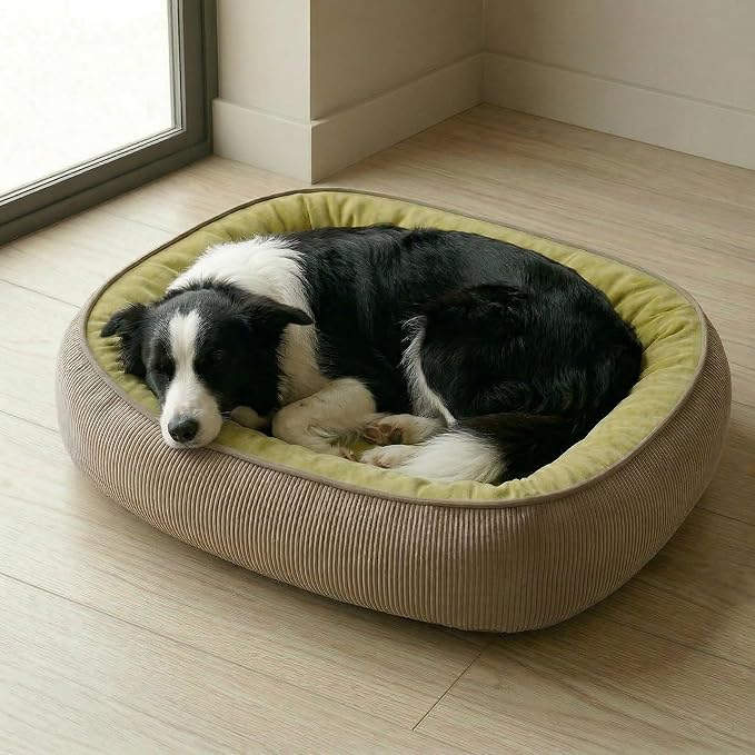 Calming Dog Bed for Medium to Large Dogs 30"x21" - Orthopedic Washable Pet Bed with Anti-Slip Bottom, Indoor Soft Cat Bed with Removable Cover (Lime Green)