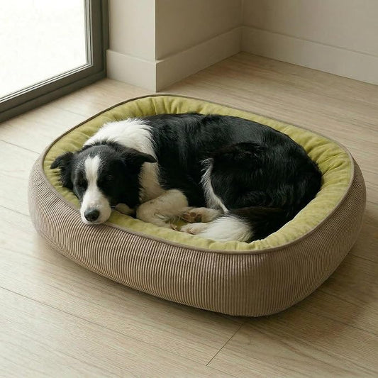 Calming Dog Bed for Medium to Large Dogs 30"x21" - Orthopedic Washable Pet Bed with Anti-Slip Bottom, Indoor Soft Cat Bed with Removable Cover (Lime Green)