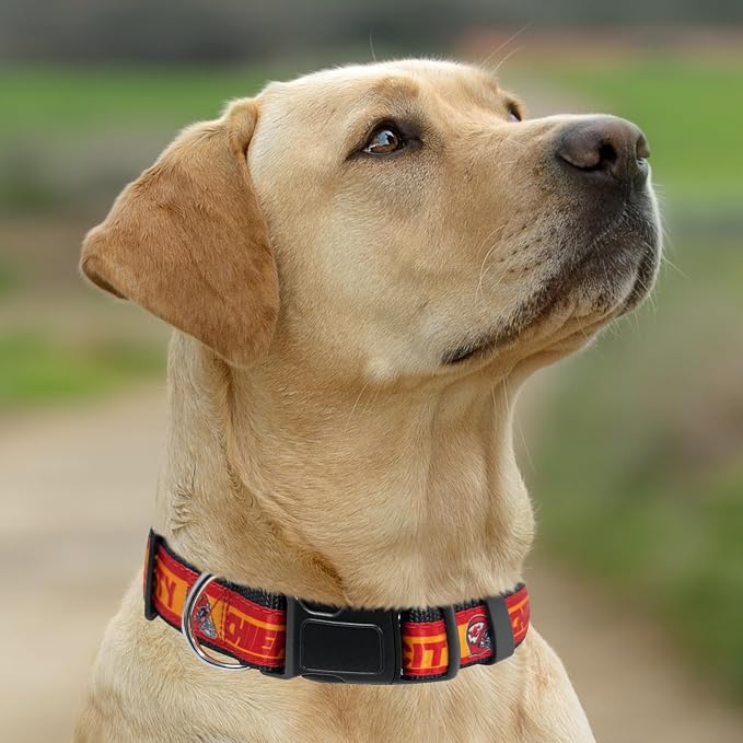 Pets First NFL Kansas City Chiefs Licensed PET COLLAR, Large - Heavy-Duty, Strong, and Durable Dog Collar. Available in 31 Football Teams and 4 Sizes