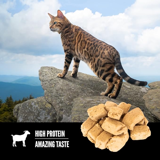 ORIJEN Tundra Freeze Dried Cat Treats, Grain Free Treats for Cats, WholePrey Ingredients, 1.25oz (Pack of 2)