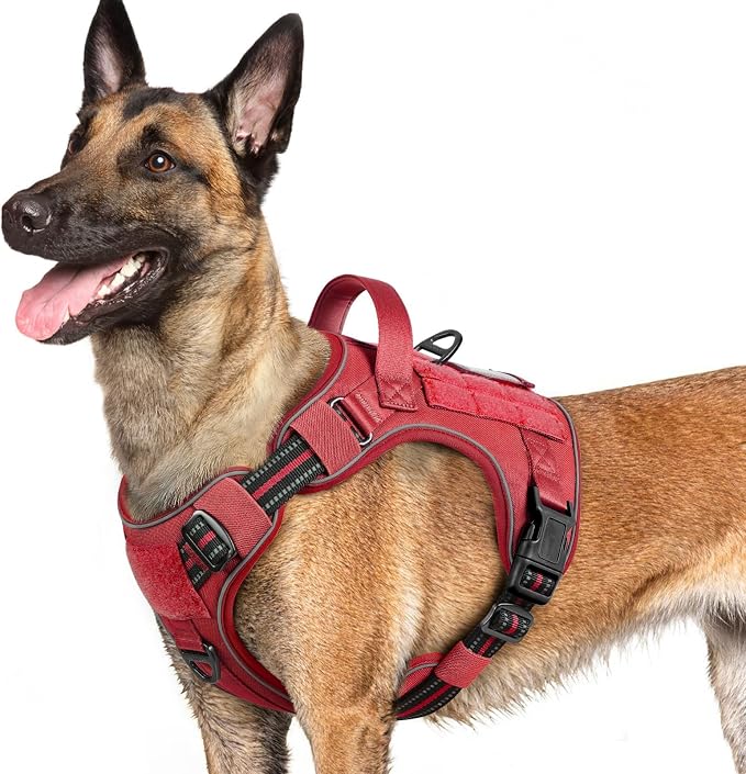 rabbitgoo Tactical Dog Harness for Large Dogs No Pull Adjustable Military Vest with Handle MOLLE Reflective Heavy Duty Dog Vest for Walking Training Hunting Outdoor Working Medium Size Dog Red L