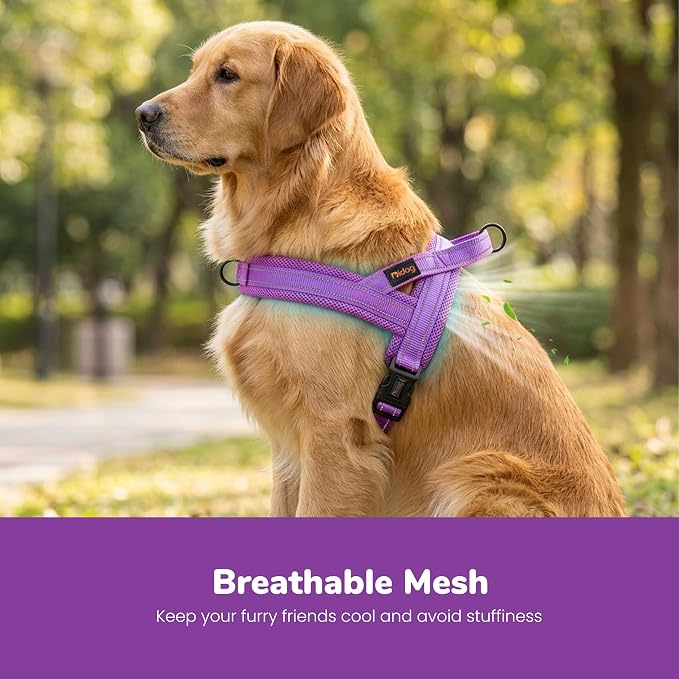 Didog No Pull Dog Harness with Breathable Mesh Padded,Reflective & Quick Fit Light Weight Dog Strap Vest Harness,Easy for Walking Training (L:Chest 26-32", Purple)