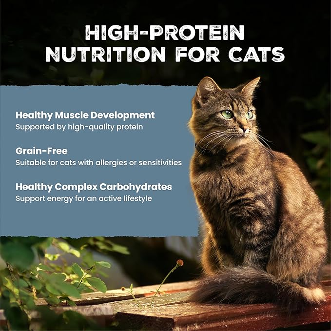 Blue Buffalo Wilderness Duck Paté Adult Wet Cat Food, High-Protein & Grain-Free Recipe Enhanced with Vitamins, Minerals, and Other Nutrients, 3-oz. Cans (24 Count)