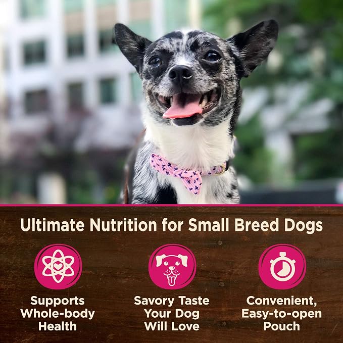 Wellness CORE Small Breed Mini Meals Pate Variety Pack Adult Wet Dog Food, Grain Free, Natural, 3 oz, Pack of 12