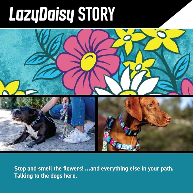 Wolfgang Heavy Duty, Adjustable Dog Collar with Quick Release Nylon Buckle for Walking & Training, LazyDaisy Print, Medium