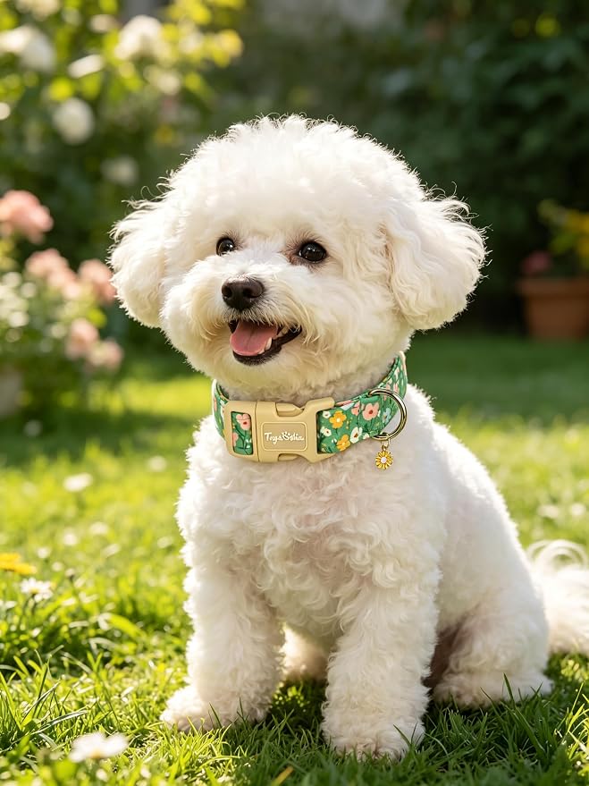 Dog Collars for Puppy Small Dogs, Summer Dog Collar with Floral Patterns, Green Dog Collar with Exquisite Pendant, Durable Adjustable Collars Pet Collar for Puppy Small Dogs-XS
