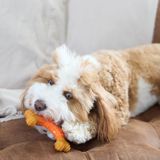 SPOT Bam-Bones Dental X-Bone - Made with Bamboo Fiber and a Massaging Rubber Center, Durable Oral Care Dog Chew for Light Chewers & Teething Puppies under 25lbs, 6in Allergen Free Peanut Butter Flavor