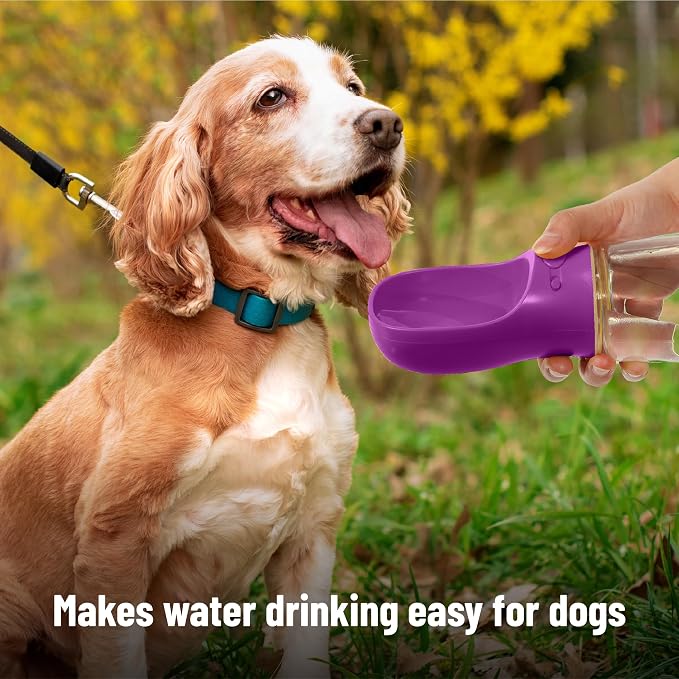 Mr. Pen- Portable Dog Water Bottle, 19 oz, Large, Leak Proof Puppy Water Dispenser with Drinking Feeder for Pets, Outdoor Walking, Hiking, Travel, Not Dishwasher Safe