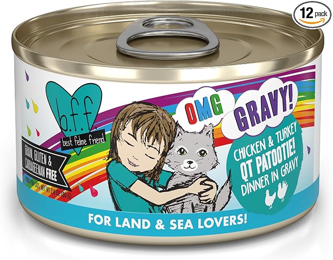 Weruva B.F.F. OMG - Best Feline Friend Oh My Gravy! Grain-Free Wet Cat Food Cans, QT Patootie! Chicken & Turkey, 2.8 oz Can (Pack of 12)