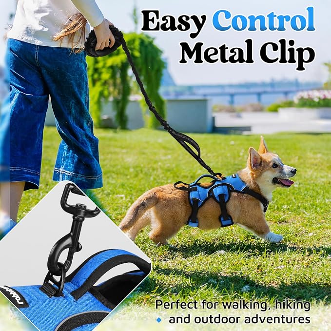 rabbitgoo Escape Proof Dog Harness, Soft Padded Full Body Pet Harness, Reflective Adjustable No Pull Vest with Lift Handle and Leash Clip for Large Dogs Walking Hiking Training, S, Blue