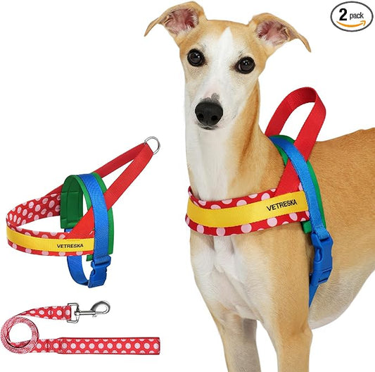 VETRESKA MoMA Dog Harness for Medium Large Dogs, Easy Walk Dog Harness and Leash Set, No Pull Dog Vest Harness for Walking and Training, Adjustable, Take Control & Anti-Twist Pet Lead Combo (Red, M)