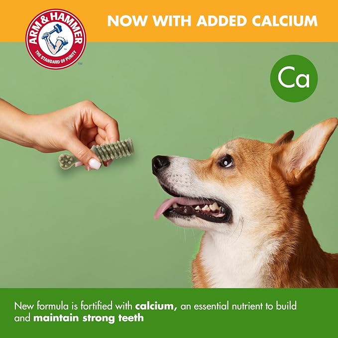 Arm & Hammer for Pets Nubbies Dental Treats Value Size Baking Soda Calcium Helps Scrub Plaque Tartar Mint Flavor Daily Oral Care 62 Count 52.8 OZ Value Bucket Dogs and Puppies Daily Bucket