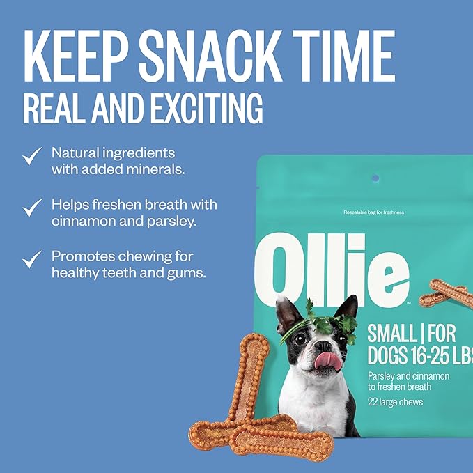 Ollie Dental Chews for Small Dogs, 12 Oz, Fresh Breath, Teeth Cleaning Treats, Sticks for Dog Oral Care, with Parsley and Cinnimon, for Pups 16-25 lbs