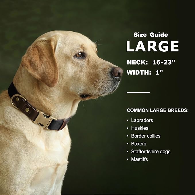 Didog Soft PU Leather Dog Collar for Large Dogs,Classic Adjustable Dog Collars with Quick Release Metal Buckle,Easy Clean and Comfortable with Nylon Lining,Black,L Neck 16-23"